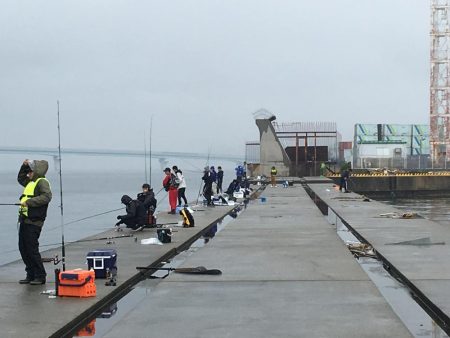 令和元年初日はポーアイで